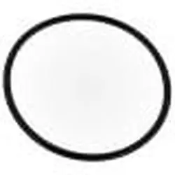 Pentair 192323 Teflon Coated O-Ring #2-139