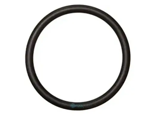 Pentair 35505-1318 Plastic Slide Valve O-Ring