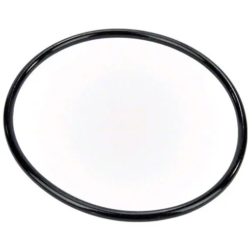 Pentair 350013Z Pentair Pump Lid O-Ring