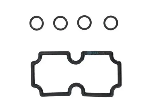Pentair 474973 MasterTemp 125 Coil Tubesheet Sealing O-Ring