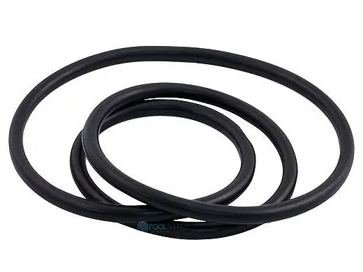 Pentair 39010200Z Tank Clamp O-Ring