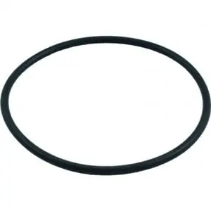 Pentair 272541 HiFlow Valve Body O-Ring