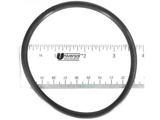 Hayward CLX110K Lid O-Ring