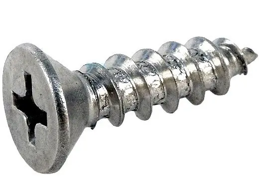 Pentair R172612 Screw
