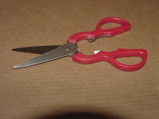 INTL CUTLERY CZ-810 Kitchen Shears