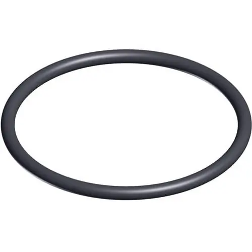 Hayward SX200Z4PAK2 Valve O-Ring