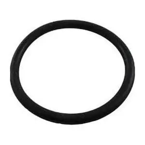 Pentair 86006900 Bulkhead O-Ring