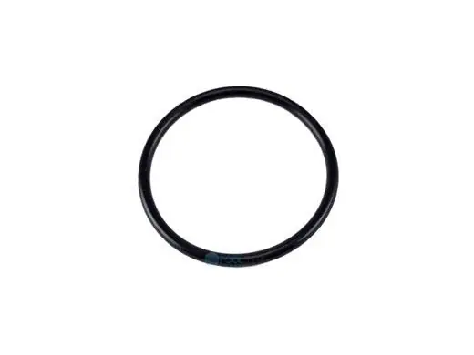Pentair U9-266 Diffuser O-Ring