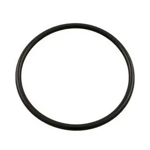 Hayward SX200Z3 O-Ring