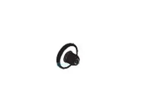Zodiac Pool Systems R0838800 Polaris Quattro Sport Retainer Screw