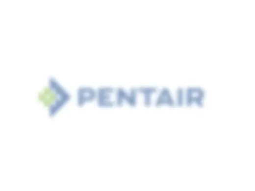 Pentair 181010 Pentair FNS Clamp Spring Kit