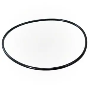 Pentair 87300400Z Pentair Clean & Clear/Posi-Clear Tank O-Ring