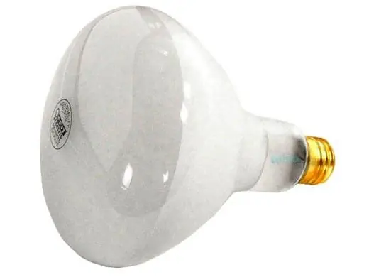 Hayward SPX0504Z7 Replacement Bulb