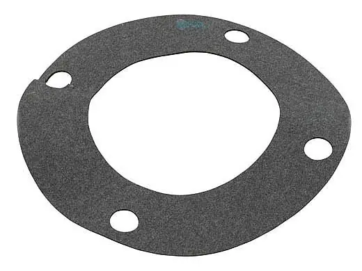 Pentair 070943 Gasket Flange P-135