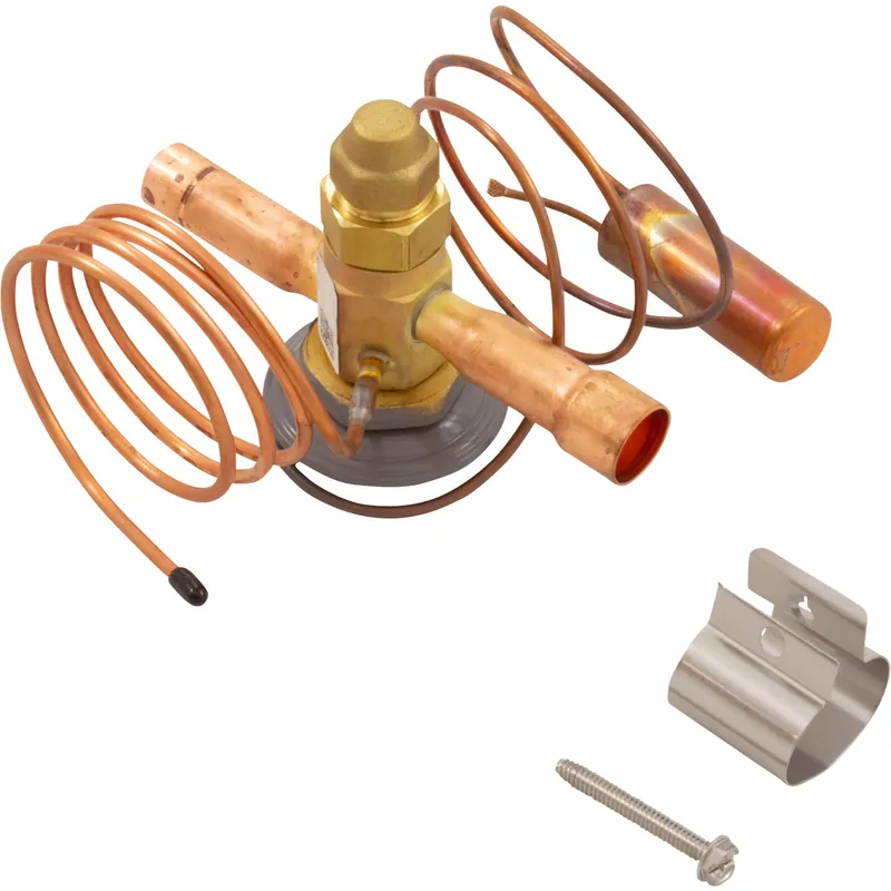 Pentair 473787 Thermostatic Expansion Valve