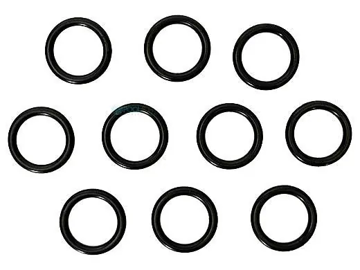 Pentair 77707-0118 MasterTemp Coil/Tubesheet Sealing O-Ring Kit