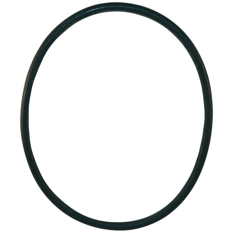 Hayward CX800F Filter Head O-Ring