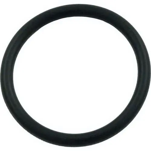 Hayward SPX0410Z2 Hayward O-Ring