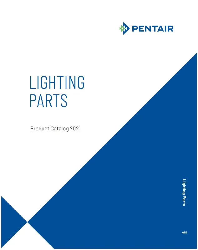 Pentair 619355Z Pilot Screw Ss W/Washer