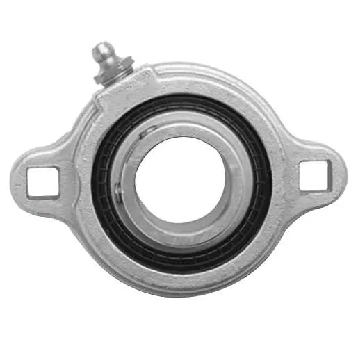 Dodge LFT-SCEZ-100-SHSS Light Duty Stainless Steel 2-Bolt Flange Unit