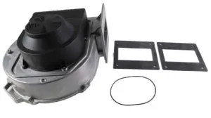 Lochinvar 100144982 Fan Assembly 100-130v