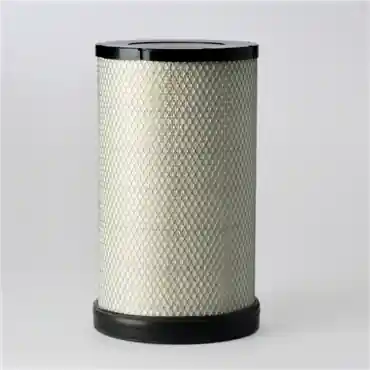 Donaldson P538008 Safety Filter