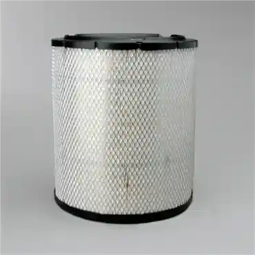 Donaldson P532473 Primary Filter