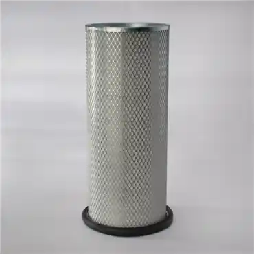 Donaldson P122425 Safety Filter