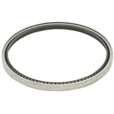 Garlock 21086-3935 Model 53 Single Lip Seal with Springs