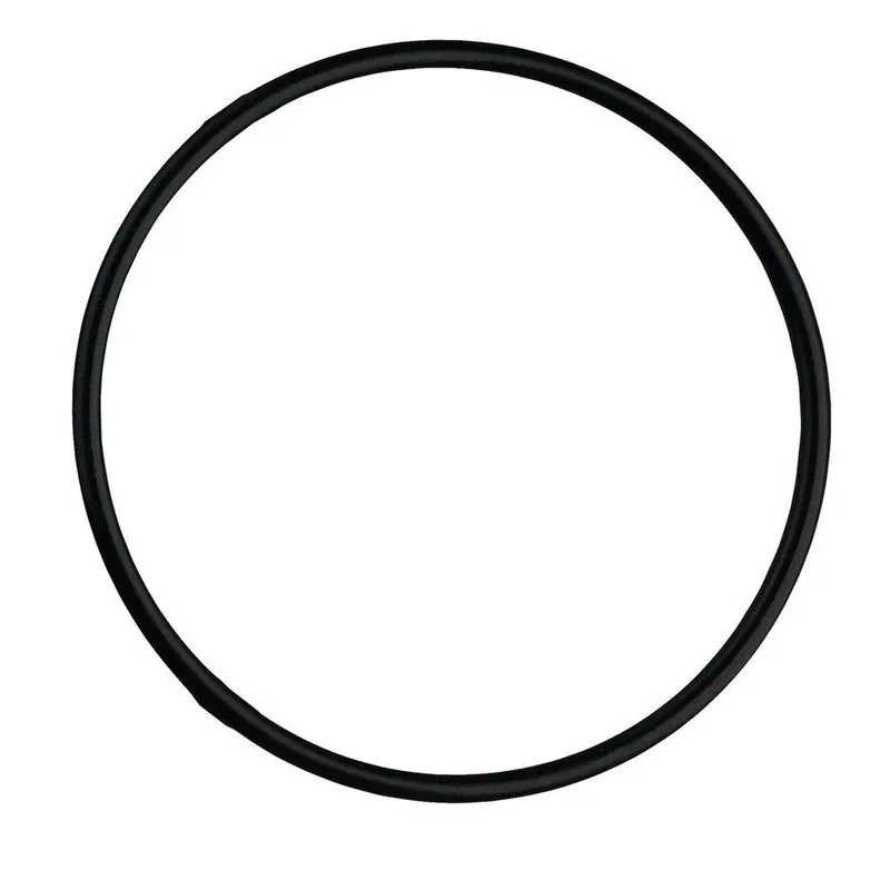 Watts 7300397 Standard Blue Housing Replacement O-Ring