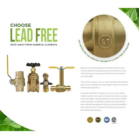 Everflow 400R002-NL Press Swing Check Valve Cast Brass 2 Inch