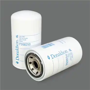 Donaldson P558250 Air Filter