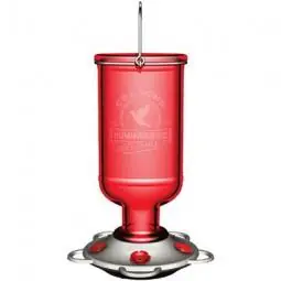 True Value 38 13 Ounce Elixir Humming Bird Feeder
