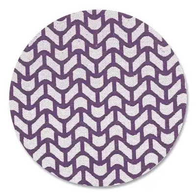 3M 7100288133 Xtract Cubitron II Net Disc 710W 5 in 240+ Grit