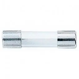 True Value BP/GMA-250MA 2-Pack 250MA GMA Glass Tube Fuse