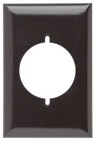Pass & Seymour 384 Wall Plate Power Standard