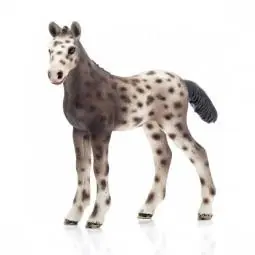 True Value 13760 WHT KNABSTRUPPER FOAL EA