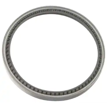 Garlock 21086-3426 Model 53 Single Lip Seal with Springs