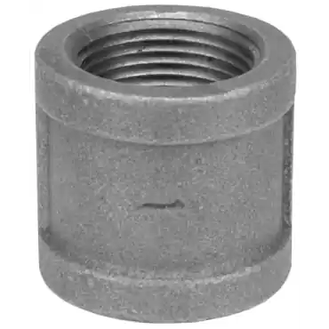Dixon Valve & Coupling RHC50SS NPT Threaded Coupling