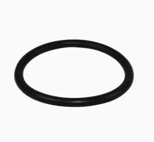 Repco 5308696 H-553 O-Ring
