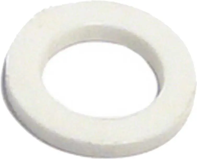 Pentair R201626 Wheel Ajustment Washer