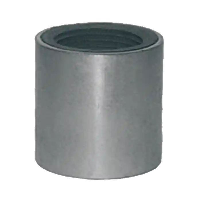 Legend Valve 301-538 2 T-578 Dielectric Coupling