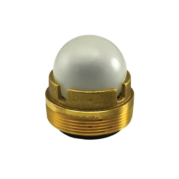 Jones Stephens D70500 2 MIP Brass Backwater Device
